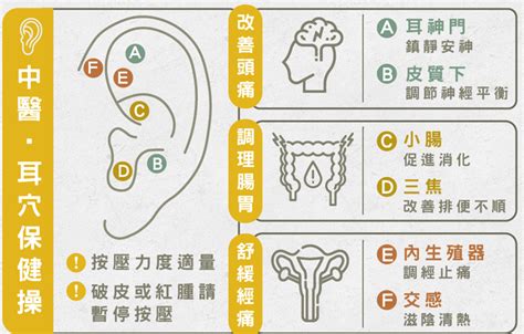 耳朵貼耳|中醫師教按「耳穴保健操」顧身！改善頭痛、經痛、腸胃脹氣